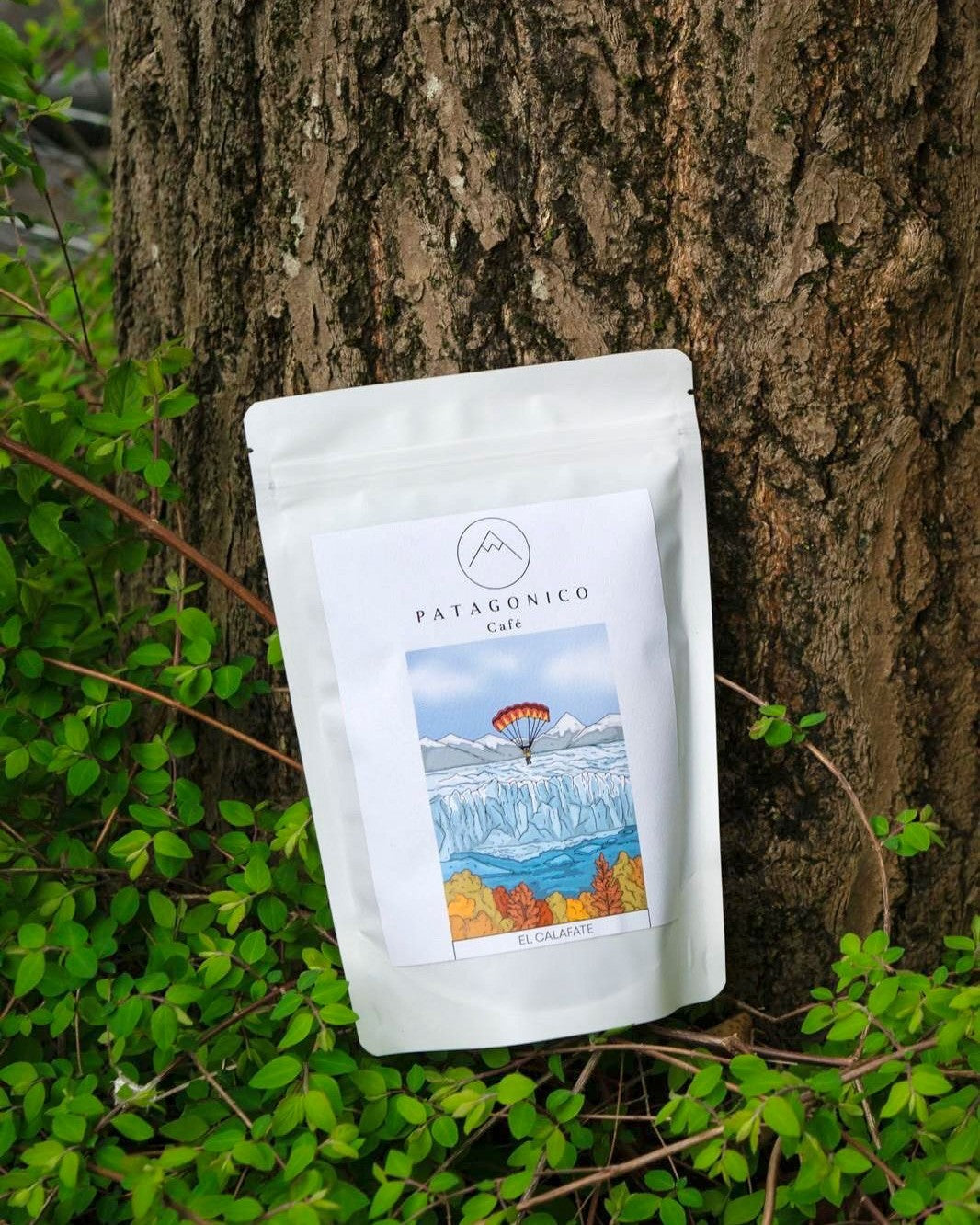 El Calafate - Filter Roast